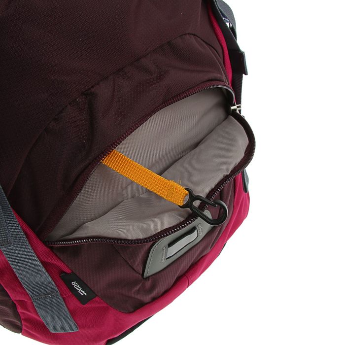 Рюкзак молодежный эргономичная спинка Deuter 43*24*19 Junior, бордовый 36029-5509