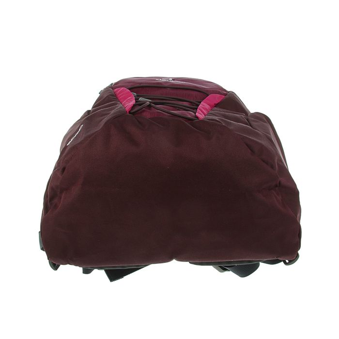 Рюкзак молодежный эргономичная спинка Deuter 46*30*21 Gogo, черничный 3820016-5032