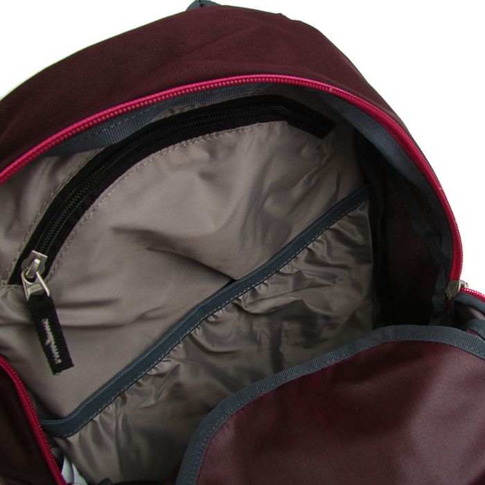 Рюкзак молодежный эргономичная спинка Deuter 46*30*21 Gogo, черничный 3820016-5032