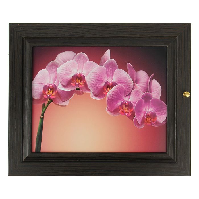 Ключница "Ветвь" венге 24х29х4 см