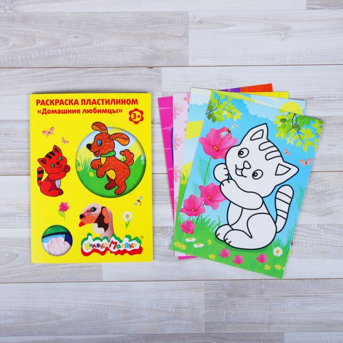 Раскраска пластилином "Домашние любимцы" 4 шт. А4, 3+