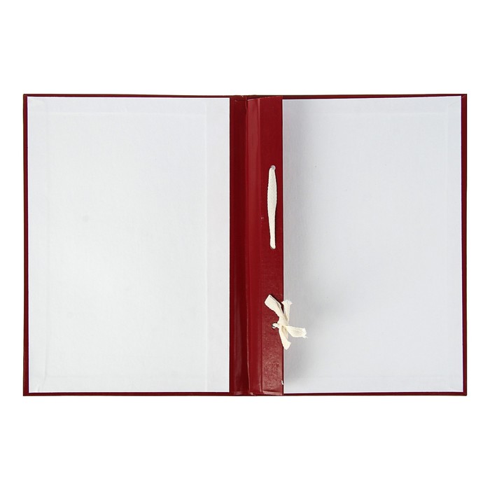 Дипломная работа/проект А4