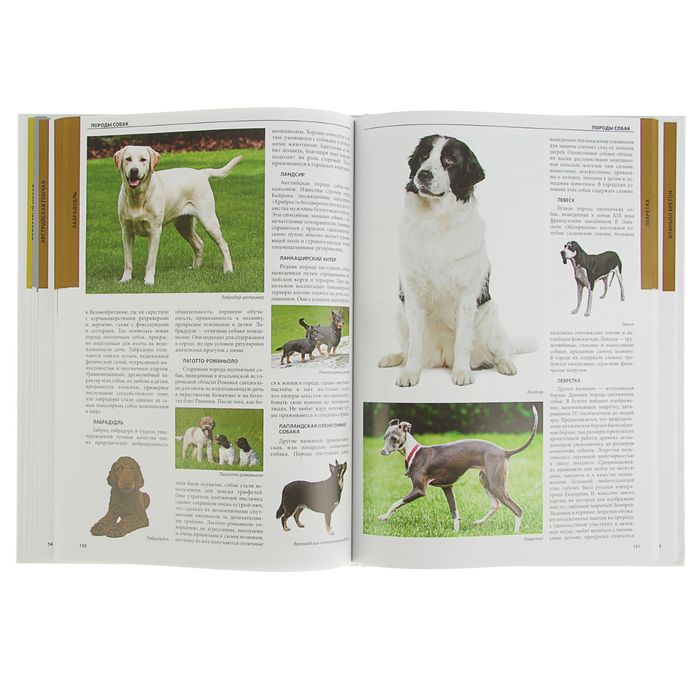 Большая иллюстрированная энциклопедия "Собаки. История. Мифы и легенды. Искусство. Атлас пород"