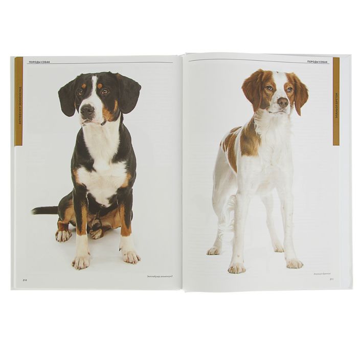 Большая иллюстрированная энциклопедия "Собаки. История. Мифы и легенды. Искусство. Атлас пород"