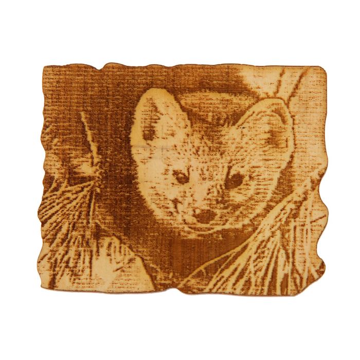 Магнит "Норка" кедр