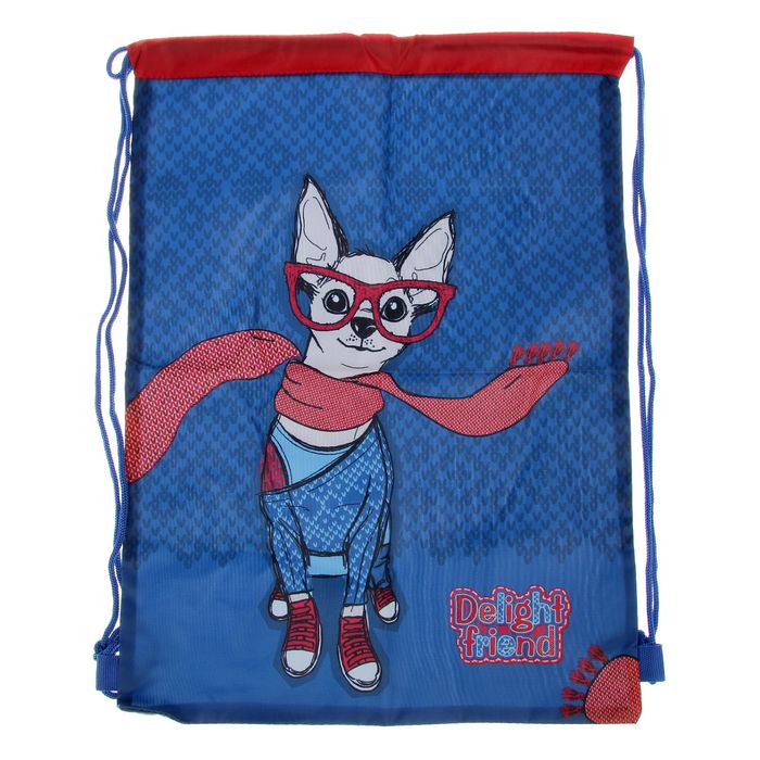 Ранец Стандарт раскладной Hatber CompactPlus 37*30*17 +мешок "Вязанка"