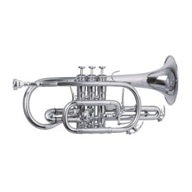 

Корнет ROY BENSON CR-302S