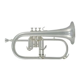 

Флюгельгорн ROY BENSON FH-302S Bb