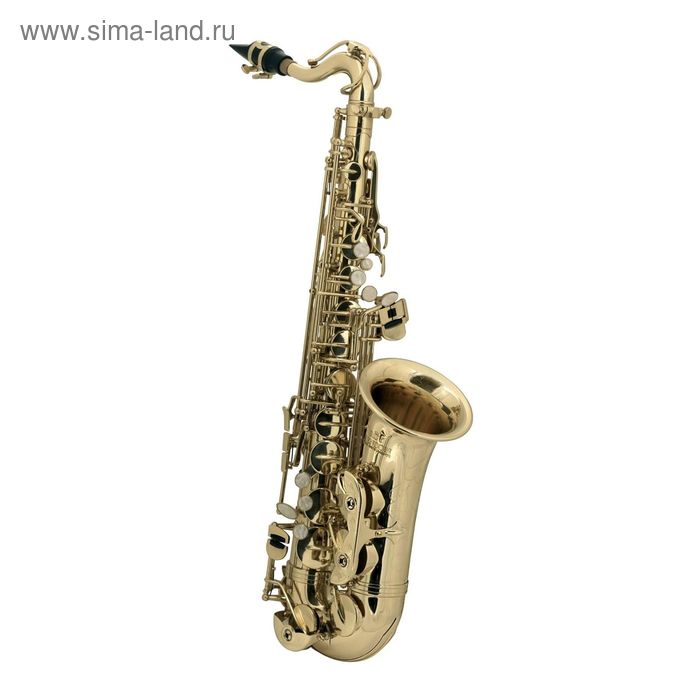 Саксофон ROY BENSON AS-201 альт 59800₽
