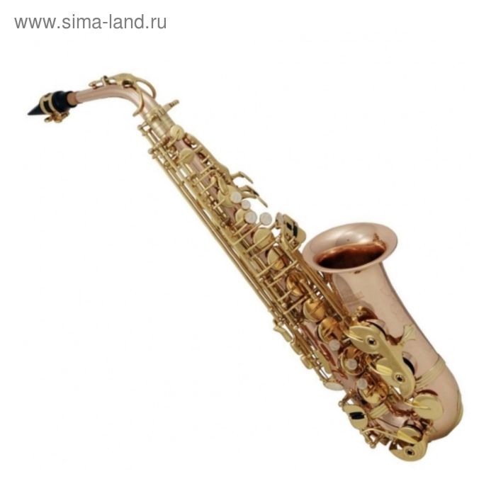 Саксофон ROY BENSON AS-202G Eb альт 67102₽