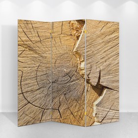 Ширма "Спил деревянный", 160 × 150 см от Сима-ленд