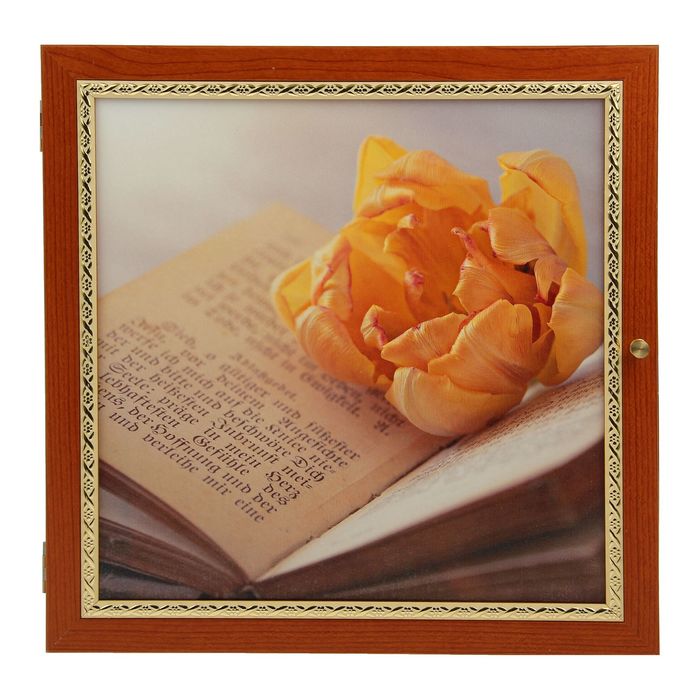 Аптечка настенная "Проза" 35х35х11 см