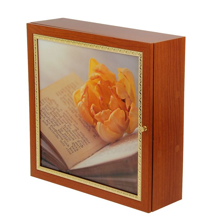 Аптечка настенная "Проза" 35х35х11 см