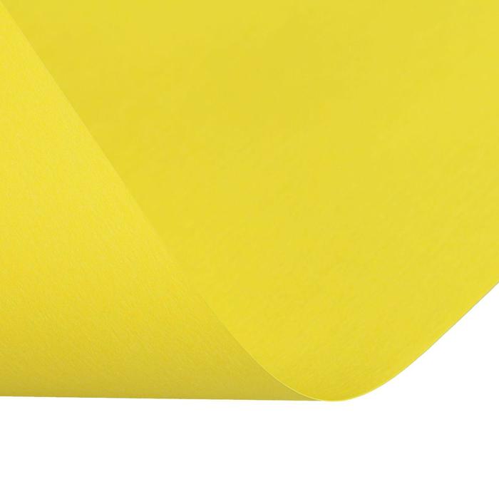 Бумага цветная А4, 50 листов Calligrata Интенсив, жёлтая, 80 г/м²