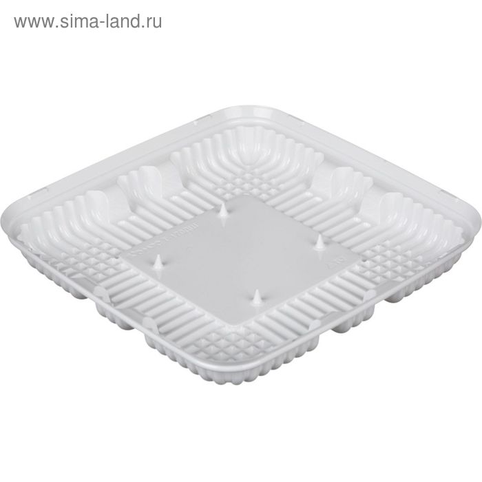 Контейнер для торта Т-170ДШ, квадратный, цвет белый, размер 24,3 х 24,3 х 3,25 см
