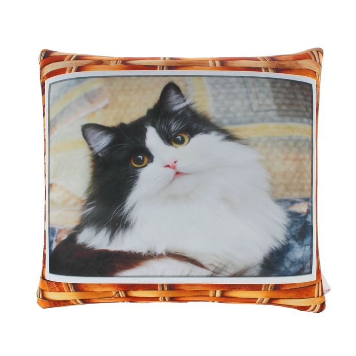 Мягкая игрушка-подушка антистресс "Пушистый котик"