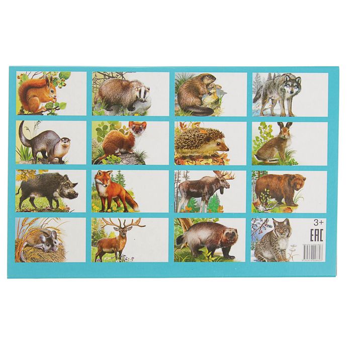 Обучающие карточки. Животные России