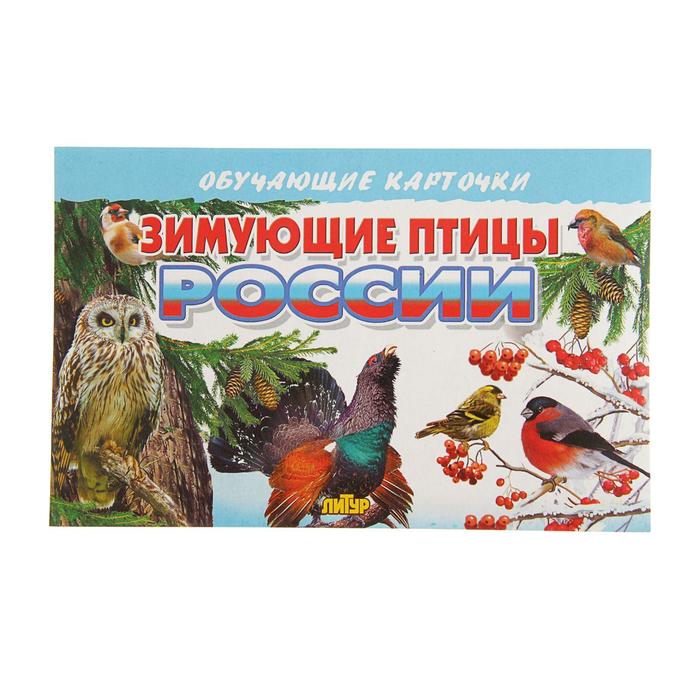 цена Обучающие карточки «Зимующие птицы России», 16 карточек