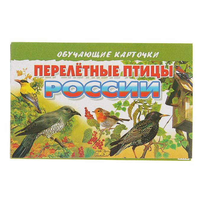 Обучающие карточки «Перелётные птицы России», 16 карточек обучающие карточки зимующие птицы россии 16 карточек