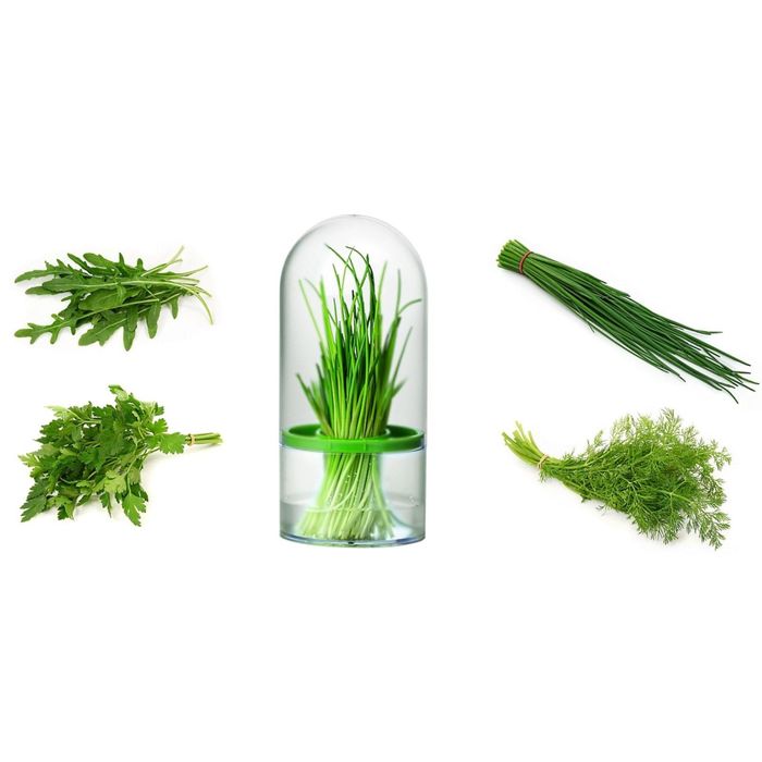 Ёмкость Tescoma SENSE для хранения трав