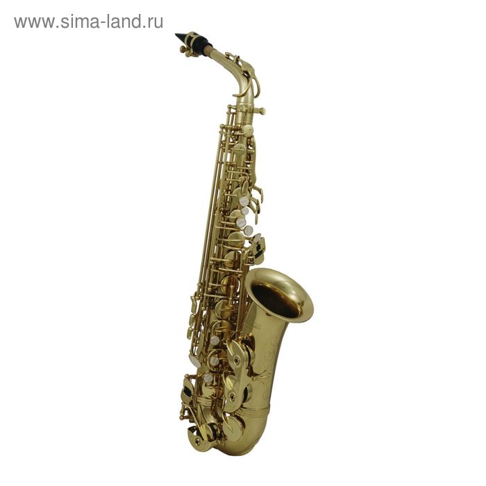 Альт-саксофон ROY BENSON AS-202 Eb 58840₽