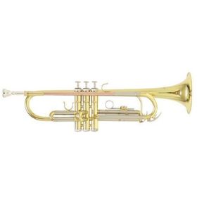 

Труба ROY BENSON TR-202G Bb