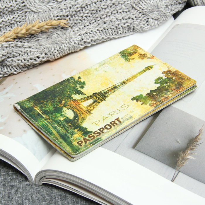 Обложка для паспорта "Париж", разноцветный