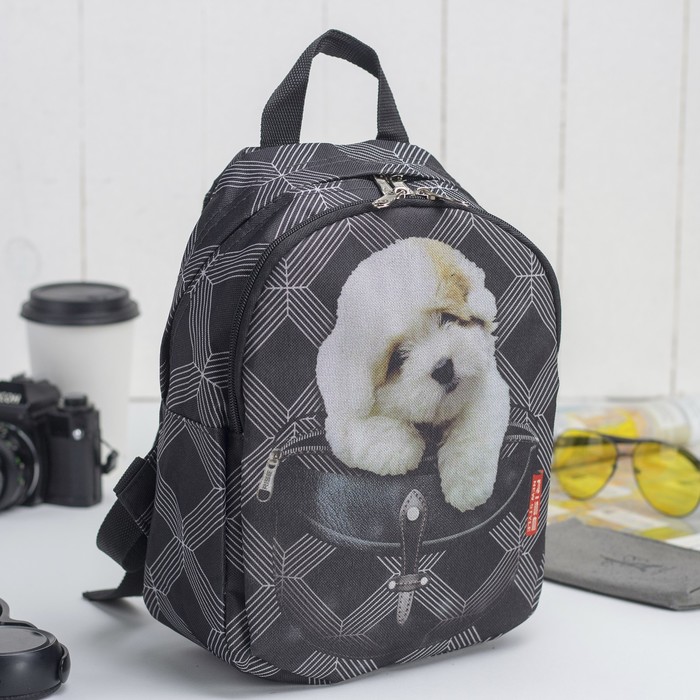 Рюкзак на молнии, 1 отдел, наружный карман, цвет чёрный