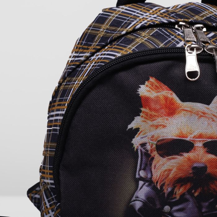 Рюкзак на молнии, 1 отдел, наружный карман, цвет коричневый