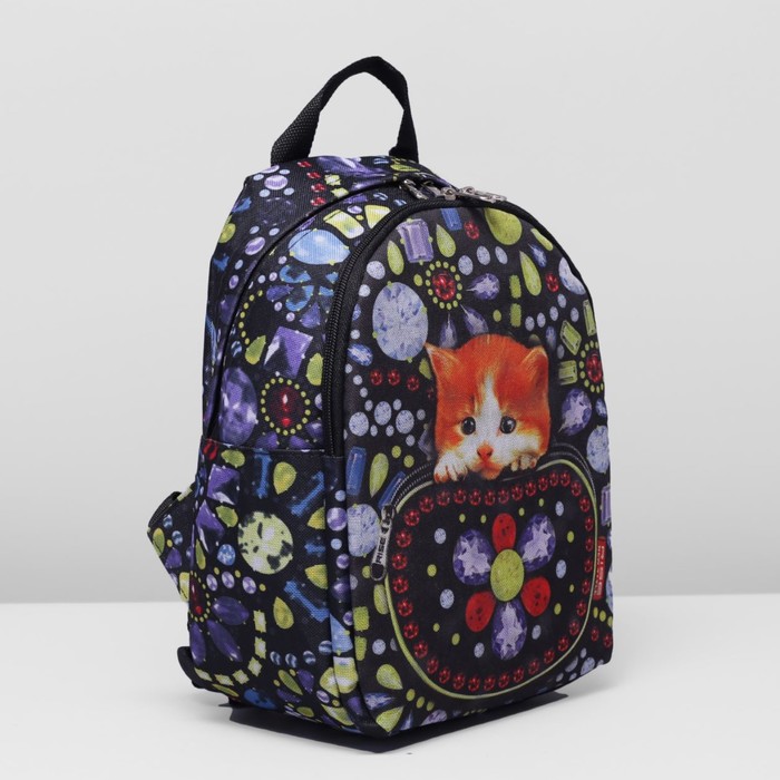 Рюкзак на молнии, 1 отдел, наружный карман, разноцветный