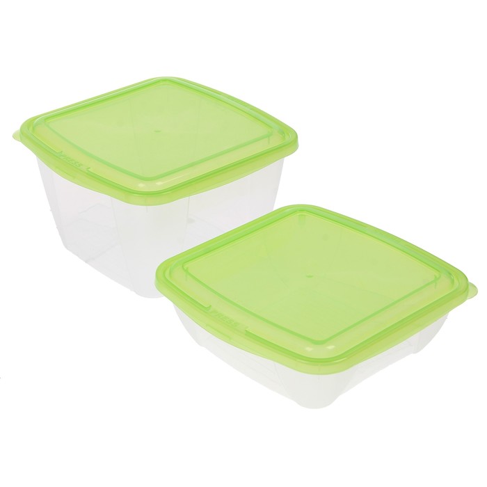 Набор контейнеров для холодильника и СВЧ "В дом с умом": 500 мл, 1 л, цвет МИКС