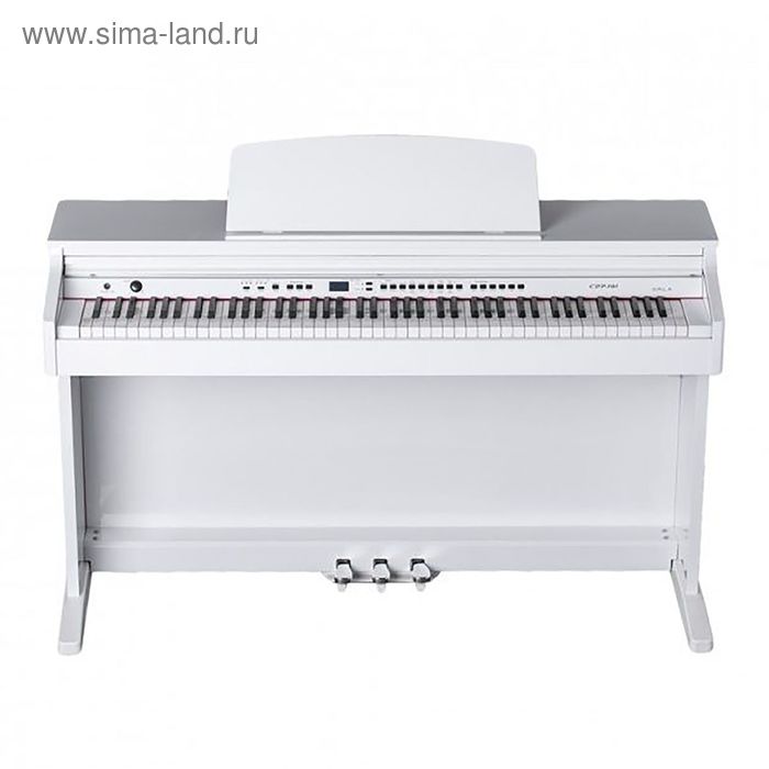 Цифровое пианино Orla 438PIA0705 CDP 101