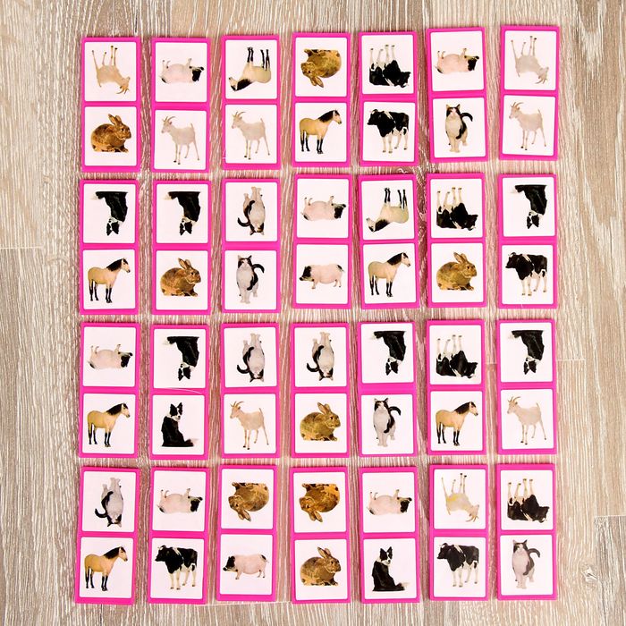 Домино "Овощи и фрукты"