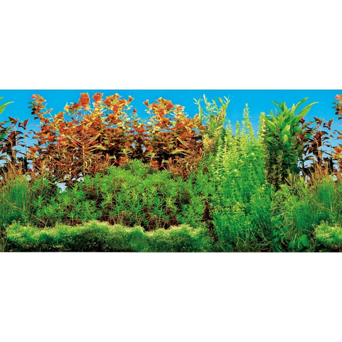 Фон Trixie для аквариума двусторонний, 60х30см.