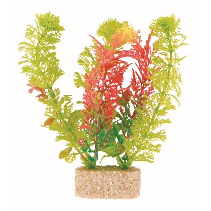 Растения Trixie для аквариума 12 см, 6 шт.