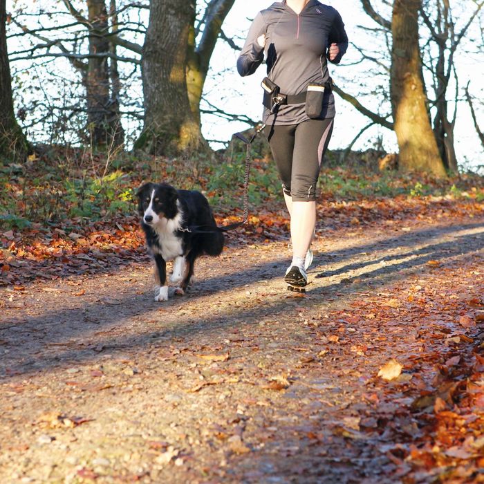 Ремень поясной Trixie с поводком, до 40 кг, черный