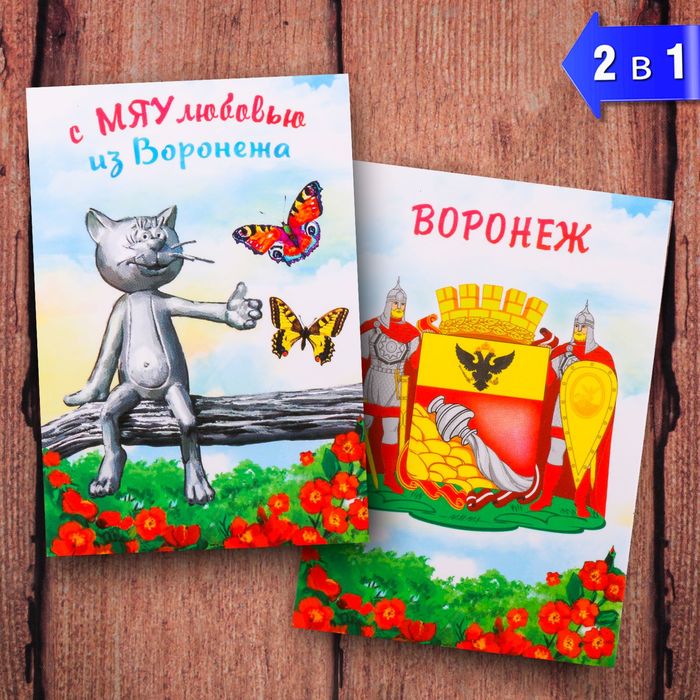 Магнит двусторонний «Воронеж», 5,5 х 8 см