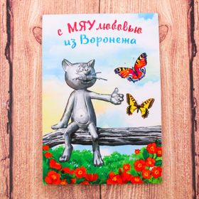 

Магнит двусторонний «Воронеж»
