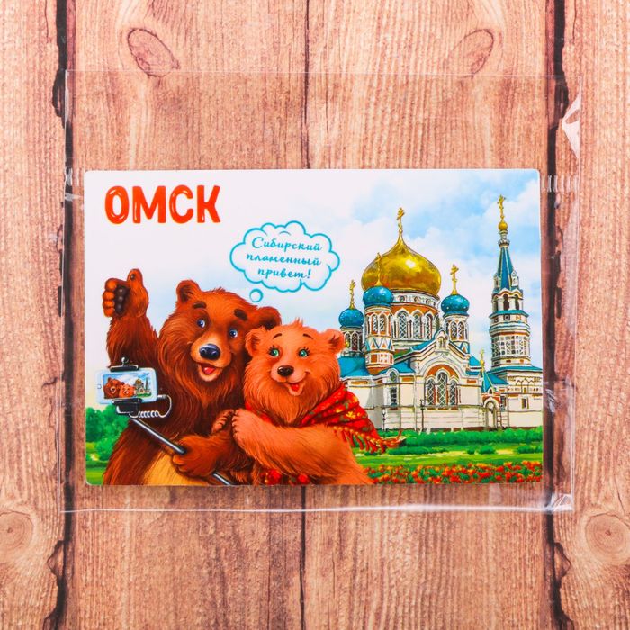 Магнит двусторонний «Омск»