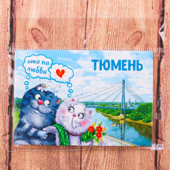 Магнит двусторонний "Тюмень", 8 х 5,5 см