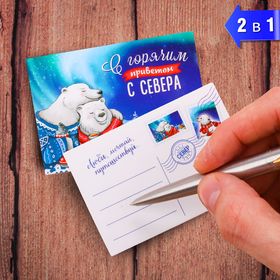

Магнит двусторонний «Север»