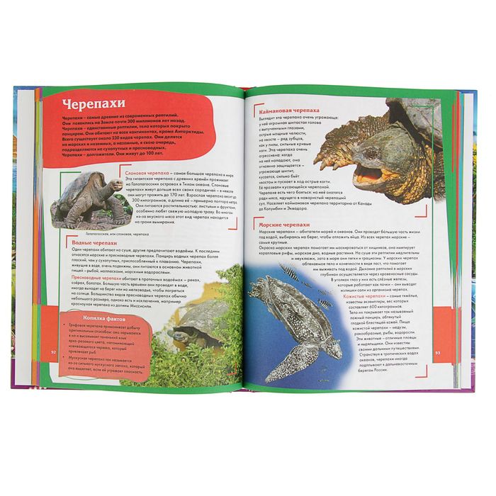 Современная энциклопедия. Любимым детям про всё на свете