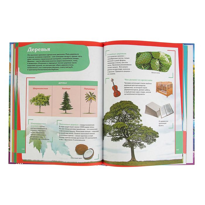 Современная энциклопедия. Любимым детям про всё на свете