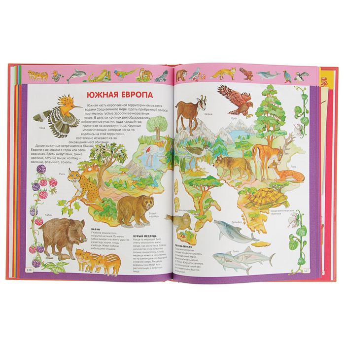 Детская энциклопедия для самых маленьких