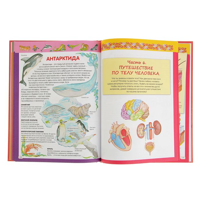 Детская энциклопедия для самых маленьких