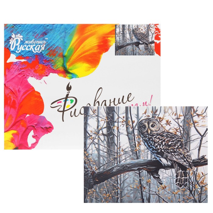 Рисование по номерам "Сова" 40х50 см