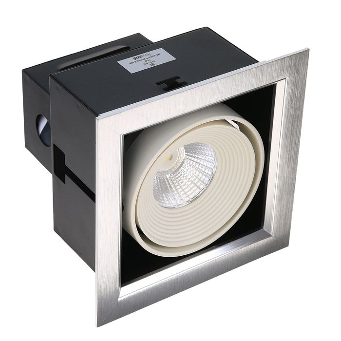 Светильник светодиодный Jazzway, 1x9 Вт, 4000 K, IP40, карданный, PSP-S111