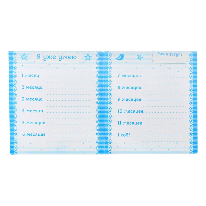 Набор наклеек (12 шт для мальчика) для фотографирования малыша с картой достижений