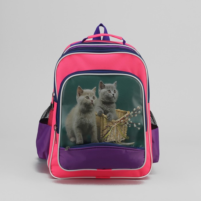 Рюкзак школьный, отдел на молнии, 4 наружных кармана, цвет розовый/сиреневый
