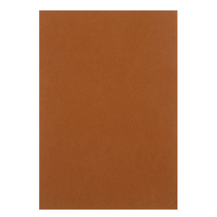 Набор фетра Астра (10 листов) "Терракот" 1 мм 180гр 20х30 см